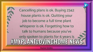 Top 10 #myplantlovinghome Posts & Updates, Starring: lushlittlejungle