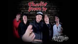 Charlie Brown JR - Um dia a gente se encontra