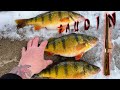 Video Thumbnail for Fillet A Perch With NO Waste! Sharpest Fillet Knife! Paudin 6"