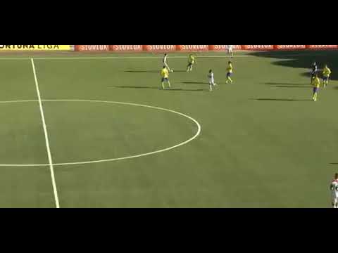 Trencin  Michalovce   10'  1 0  Roguljic