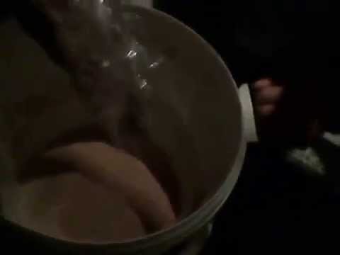 So fängt man Karpfen - einfaches Karpfenfutter