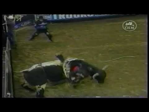 Domino bucks Jesse Schellhamer - 03 PBR Reno