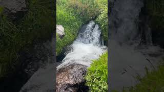 Spring Water, Mount Shasta #mountshasta #シャスタ #sacredwater