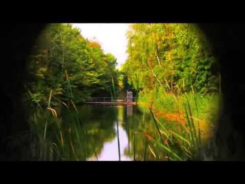 Københavns Vestvold efterår.. Danmark 🇩🇰