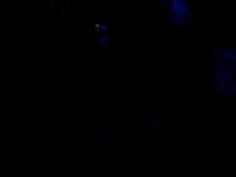 wonder fiesta flaix fm 2008