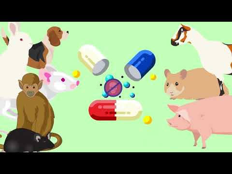 How Medicines Are Made