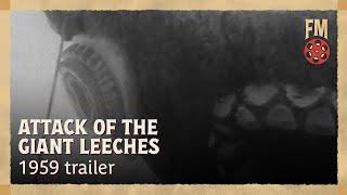 Original Restored Trailer: Attack of the Giant Leeches (1959) | HD