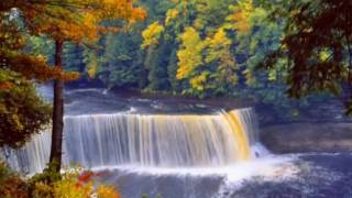 I&#39;m Gonna Leave You Tommorow