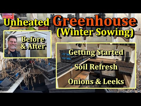 Winter Sowing in an Unheated Greenhouse (Clean-Up, Soil Refresh, Starting Onions & Leeks)