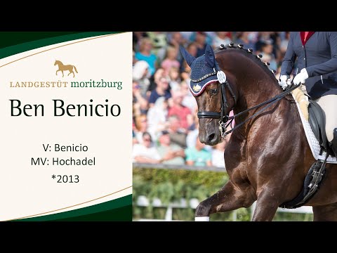 BEN BENICIO v. Benicio - Hochadel