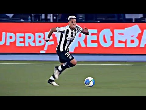 Matheus Martins • Botafogo | Highlights 