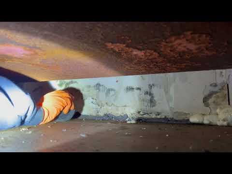 Taking Care of a Mice Infestation in the Warehouse in Basking Ridge, NJ