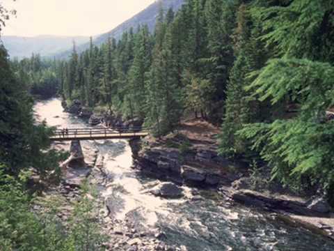 fraţii timofte vestea bună  by băldy 0001