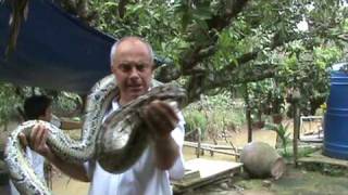 Marian "fights" with python in Mekong Delta