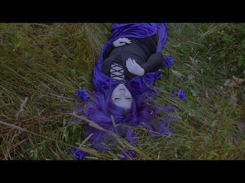 DIVIDED ISLΛND - ULTRAVIOLET POISON