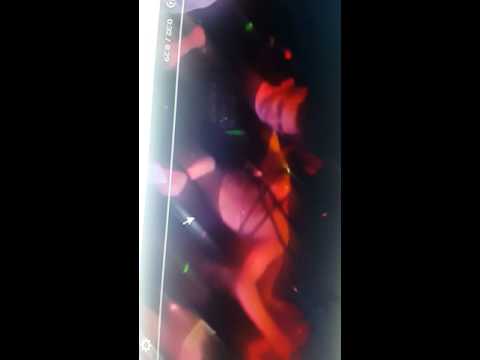 hichem smati et chikh nano 2016 clash