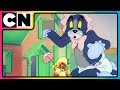 Tom Jerry Enjoy The Eternal Cat Mouse Game Of Tom Jerry On Cartoon Network India