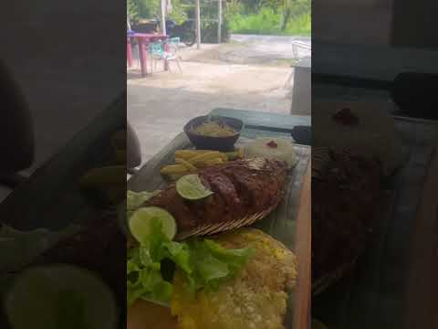 De ruta y mojarra en gigante #huila #turismo #rutasypaisajes