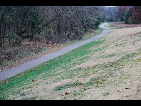 Azra Music Universe - Gravel Trees