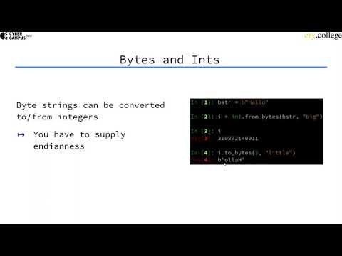 Python For Bits And Bytes