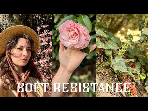 How I’m Resisting: Quiet Radicalism, Art, and Everyday Rebellion