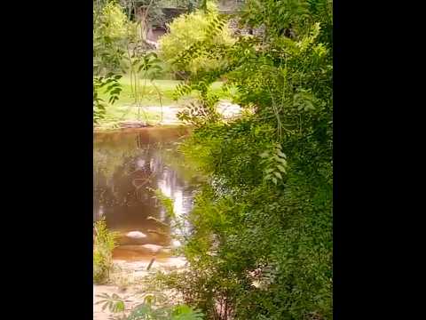 Río Cosquín, Córdoba, Argentina 🇦🇷#riocosquin