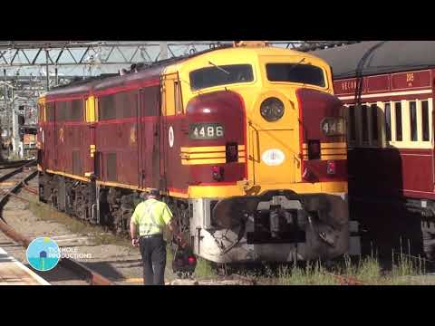 Diesel Locomotives 4473 & 4486 - Cockatoo Run - December 2011