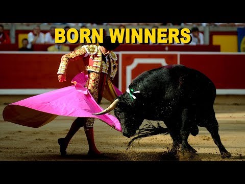 Born Winners - Antonio & the Corrida | ZeeKay