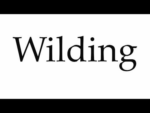 How to Pronounce Wilding