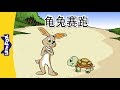 The Tortoise And The Hare 龟兔赛跑 Folktales 1 Chinese By Little Fox