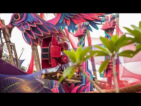 Flip Flop @ ReveillOz 19/20 , Aldeia Outro Mundo - SP #shorts #youtubeshorts