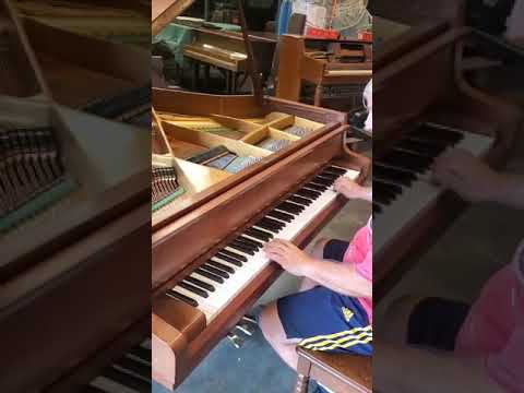 Schimmel 5' Baby Grand Piano - Classic German Craftsmanship image 8