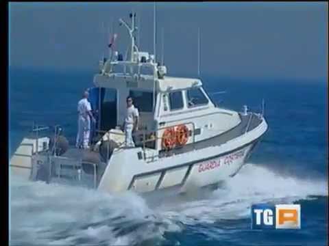 tg3 Convegno Tutela e Conservazione Tartaruga Marina - I Gre delle Marche - 31/06/2013 - Senigallia