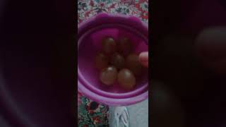 ХОМЯК СБЕЖАЛ 1-Ч😢😢😢ПЕЧАЛЬНОЕ ВИДЕО