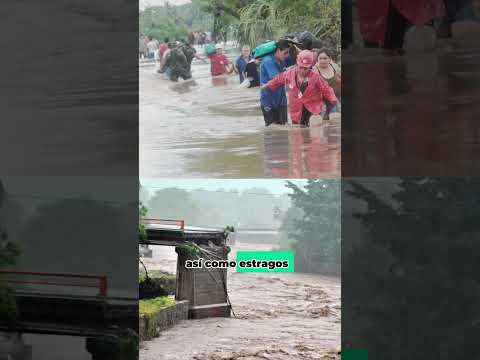 Sequías, inundaciones y otros estragos medioambientales afectan al mundo