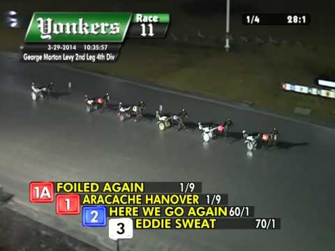 Foiled Again - Yonkers Raceway - George Morton Levy 2014