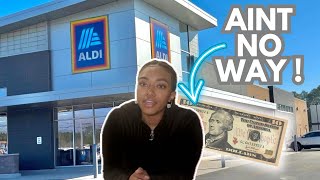 How Much Juice Can I Make With $10? (ALDI EDITION)