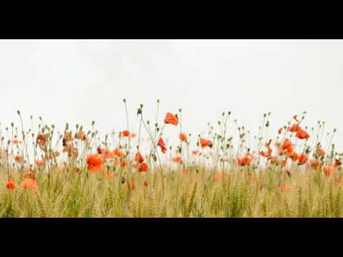 01 Turbenth Vaztha Dole Melwin Peres konkani songs