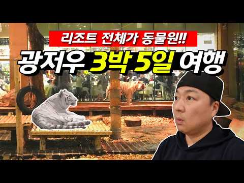 가족과 즐기는 이색적인 광저우 여행, 창롱 리조트 완벽 가이드