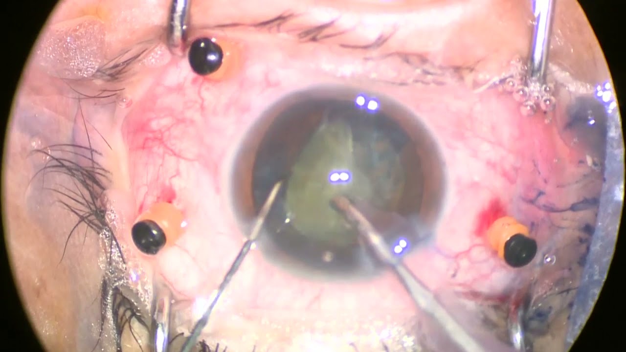 Jazmin Ariadna Salas García-6