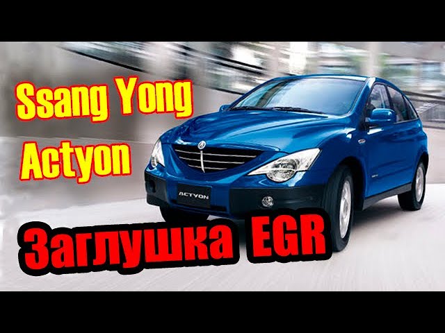 Санг Енг Кайрон Заглушка Егр