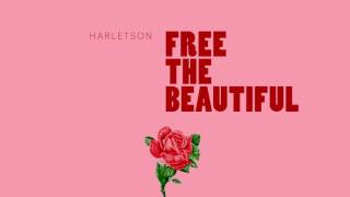 Cover art for Free The Beautiful
