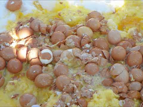 Carmel Snowmobile Club's Elijah Brazier on Q106 5