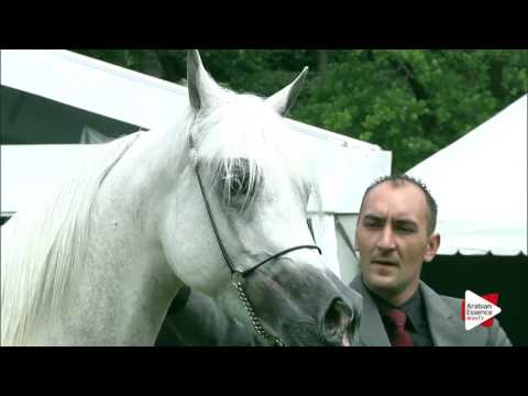 Bruges 2016 - Class 112