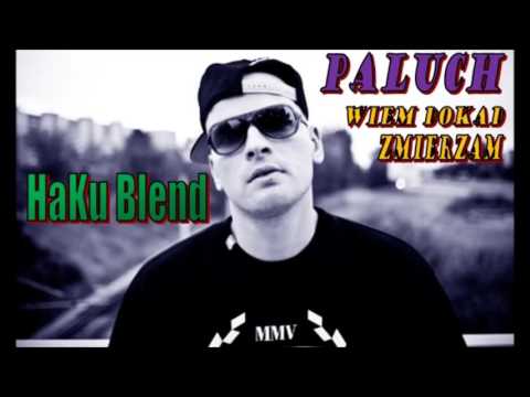 Paluch - Wiem dokąd zmierzam ( HaKu Blend)