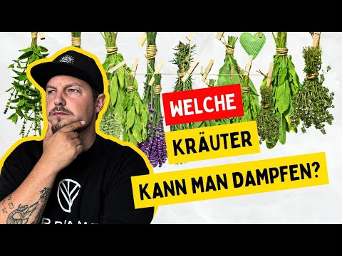 Diese Kräuter kannst du im Vaporizer verdampfen 🌿 | Lavendel, Kamille, Salbei - die Aromatherapie