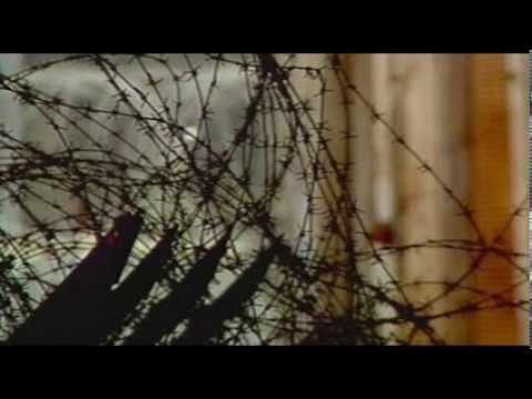 THE OTHER SIDE  2003