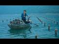 Off Grid Island Life Trapping Shrimp And Selling To Big Boats