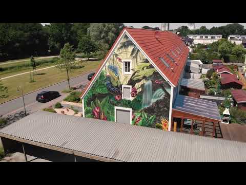 "Iguana" – Ein Norddeutscher Graffitidschungel