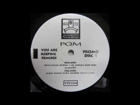 PQM ‎– You Are Sleeping (PQM Meets Luke Chable Vocal Pass) [HD]
